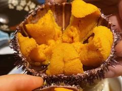 空运活海胆-天狗山料理(省体店)