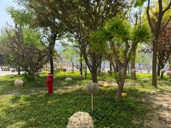 -天津海河悦榕庄·Lobby Lounge大堂吧