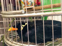 -五悦北平四季涮肉·烧烤(老商埠店)