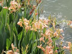 -东钱湖旅游度假区