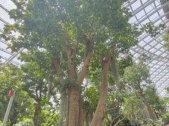 -济南植物园