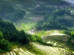 -紫鹊界梯田景区