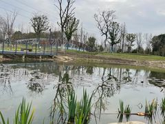 -昆山城市生态森林公园