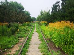 -永定河休闲森林公园