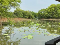 -西溪国家湿地公园