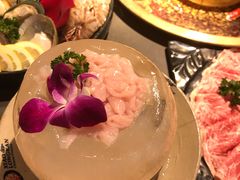 -Xiao Long Kan Hotpot Sydney 小龙坎老火锅