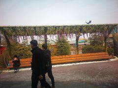 -济南方特东方神画