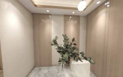 -Dr.林醫生产后修复·配方产康店(南京大厂店)