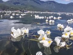 -丽江泸沽湖景区