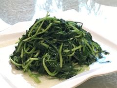 清炒马兰头-新长岭大酒店酒楼