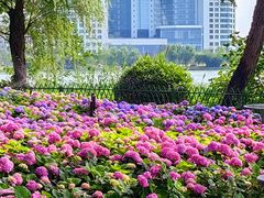 -金银湖国家城市湿地公园