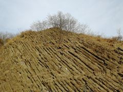 -六合国家地质公园桂子山景区
