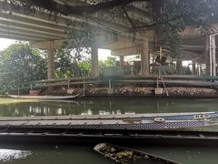 -小洲村