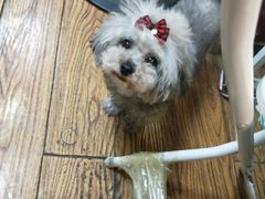 -志龙皇冠吃货椰子铺