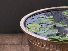 -南京钟山宾馆(江苏省会议中心)