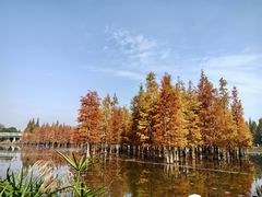 -白鹭湾湿地公园