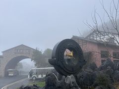 -千岛湖石林