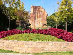 -苏州河梦清园环保主题公园