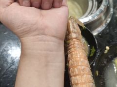 -钱小主·自助回旋烤肉火锅餐厅(东方新天地店)