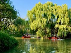 -洛阳市隋唐城遗址植物园