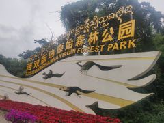 -西双版纳原始森林公园