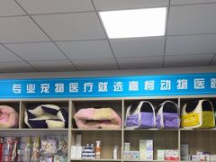 -嘉馨宠物医院·CT影像转诊·心脏科·犬猫全科诊疗中心(下沙大学城院区)