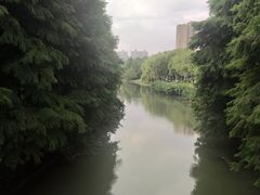 -昆山城市生态森林公园