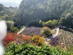 -云峰山自然风景区