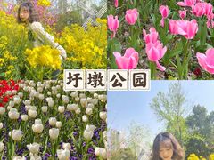 -圩墩遗址公园