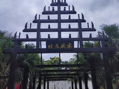 -云南民族村