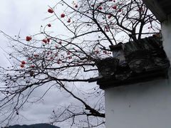 景点-塔川景区
