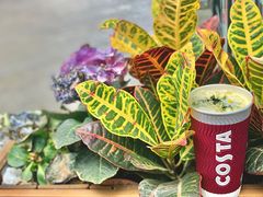 -COSTA COFFEE(成都来福士店)
