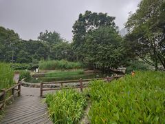 -成都市活水公园