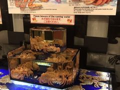 -蟹道乐(道顿堀本店)