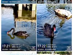 -鄂尔多斯野生动物园