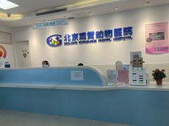 -北京观赏动物医院·24小时大型综合·猫专科·异宠专科