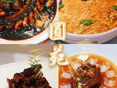 -圆苑(金茂店)