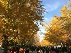 -辽宁大学(崇山校区)
