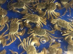 -阳澄湖大闸蟹·琼灵阁牌品牌连锁(吴中总店)
