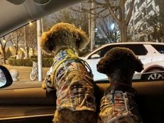 -华盛丰温州大排档(东三环南路店)