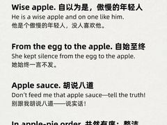 -英孚教育青少儿(徐汇徐家汇中心)