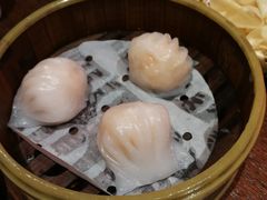 南拳虾饺皇-南拳十三姨·潮汕砂锅粥(世纪金源店)
