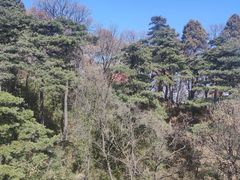 -少华山国家森林公园