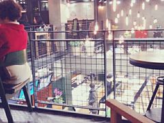 -FASHION BAKERY法森贝克(新德路店)