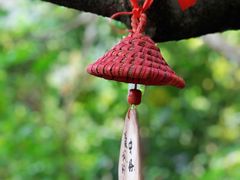 -呀诺达热带雨林