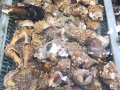 -富临港·蒸汽海鲜·手抓海鲜·炒菜(栈桥店)