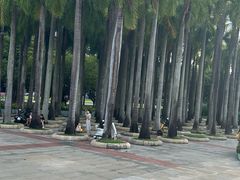 -深圳国际园林花卉博览园