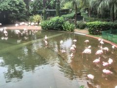 -九龙公园