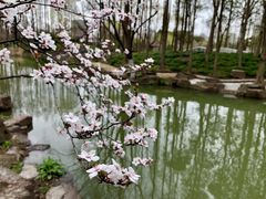 -大宁公园