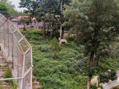 -石家庄市动物园